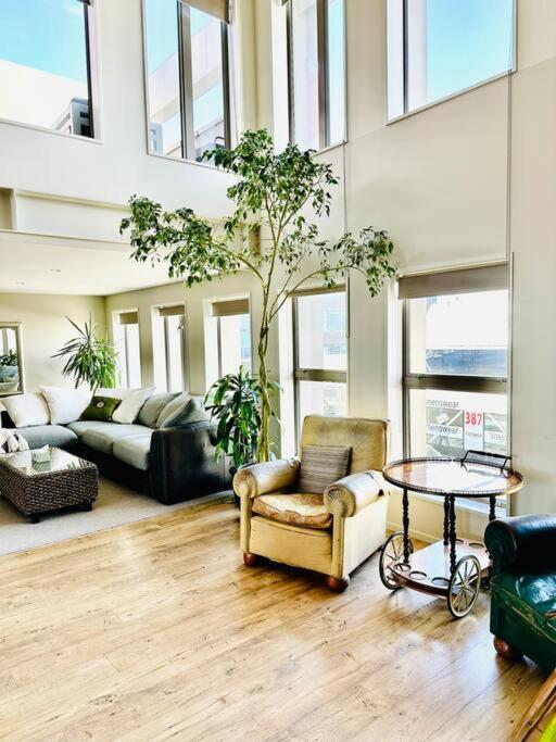 Stunning New York Loft Gallery Christchurch Extérieur photo